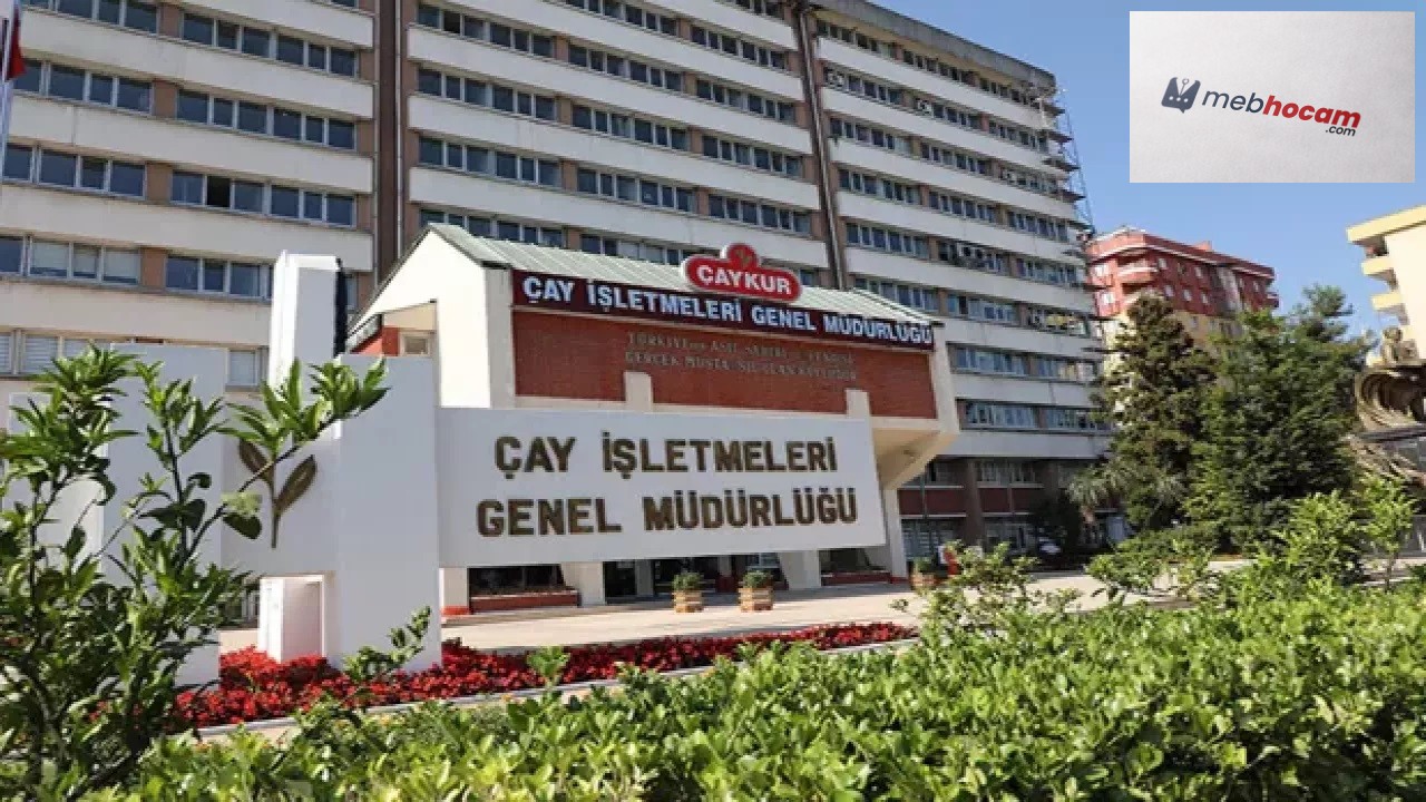 Çay İşletmeleri Genel Müdürlüğü personel alımı: 1365 işçi alınacak! Son başvuru 3 Nisan