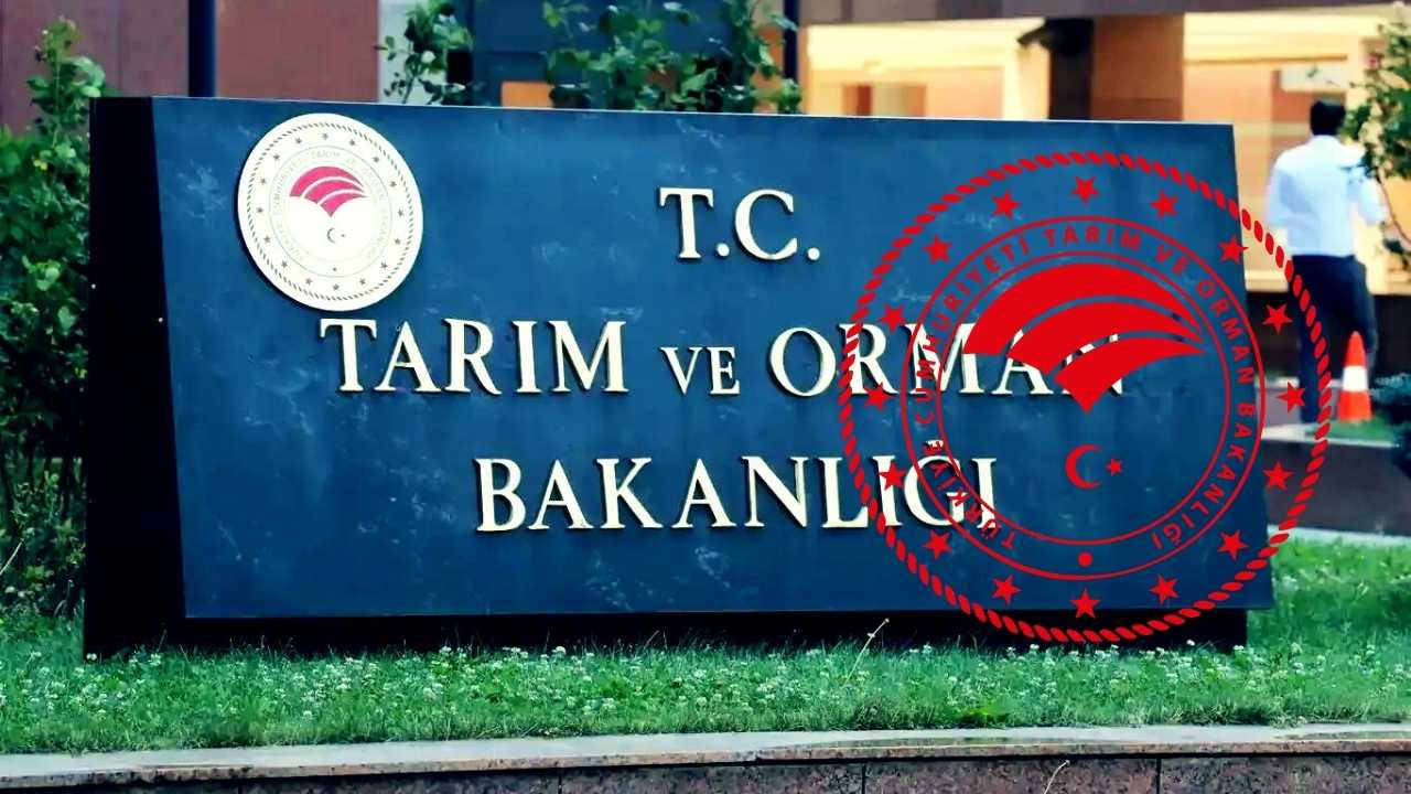 TOB personel alımına ilişkin duyuru geçti! 8500 çalışan alımıyla ilgili başvuru şartlarını güncelledi