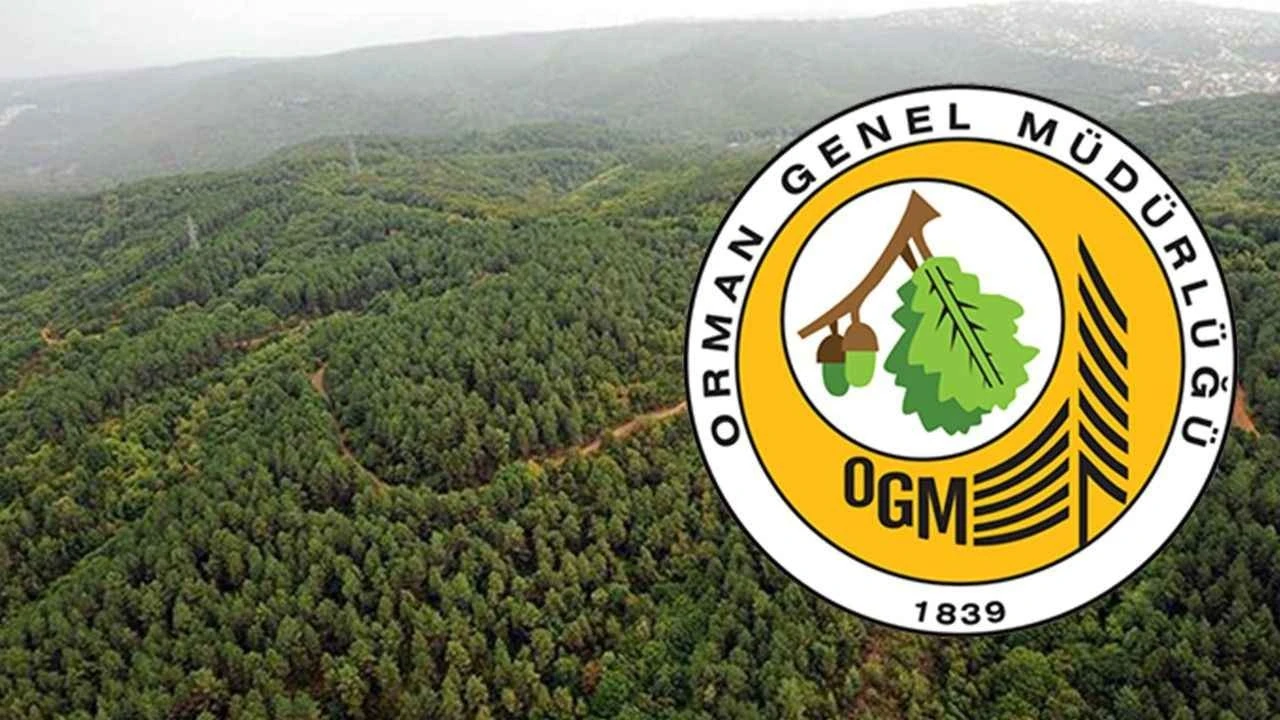 Orman Genel Müdürlüğü Tarafından 252 Daimi İşçi Alınacak